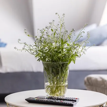 Stare Zoo Apartament *