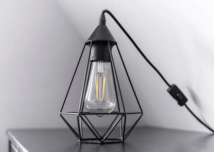 Apartment Stare Zoo *